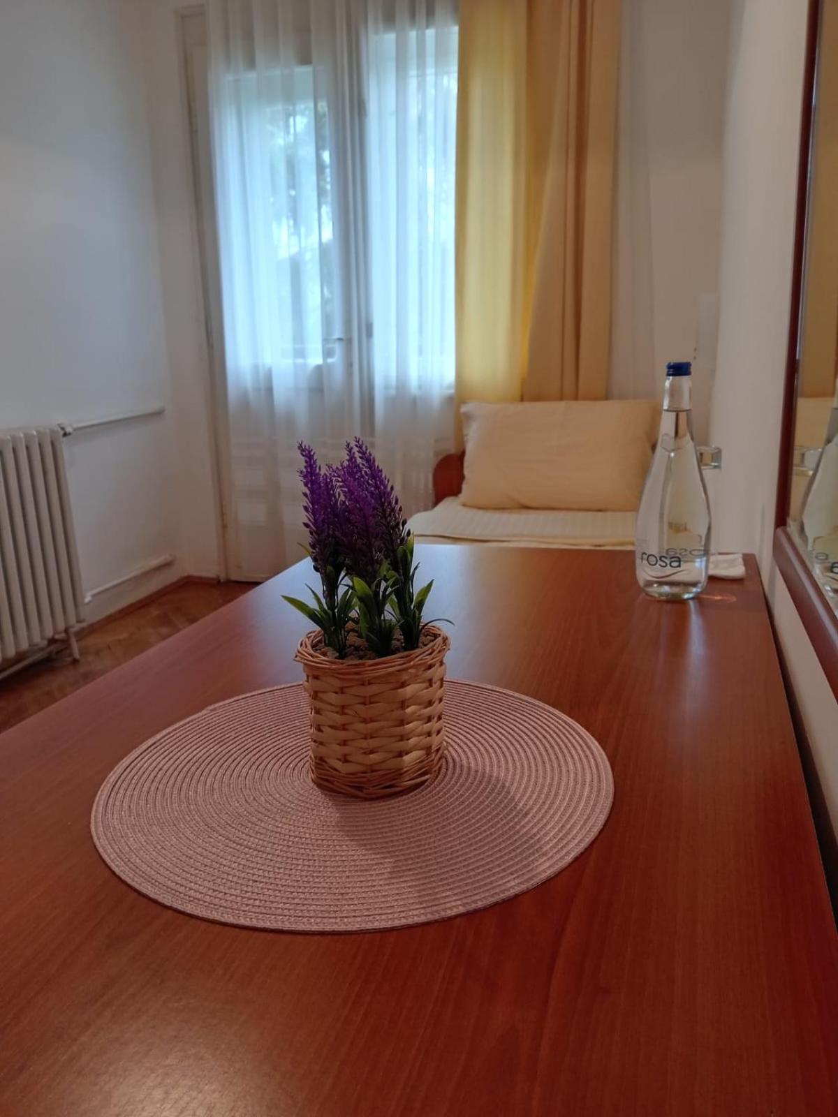 Hotel Vlasina - Vlasinsko Jezero Власіна-Рід Екстер'єр фото
