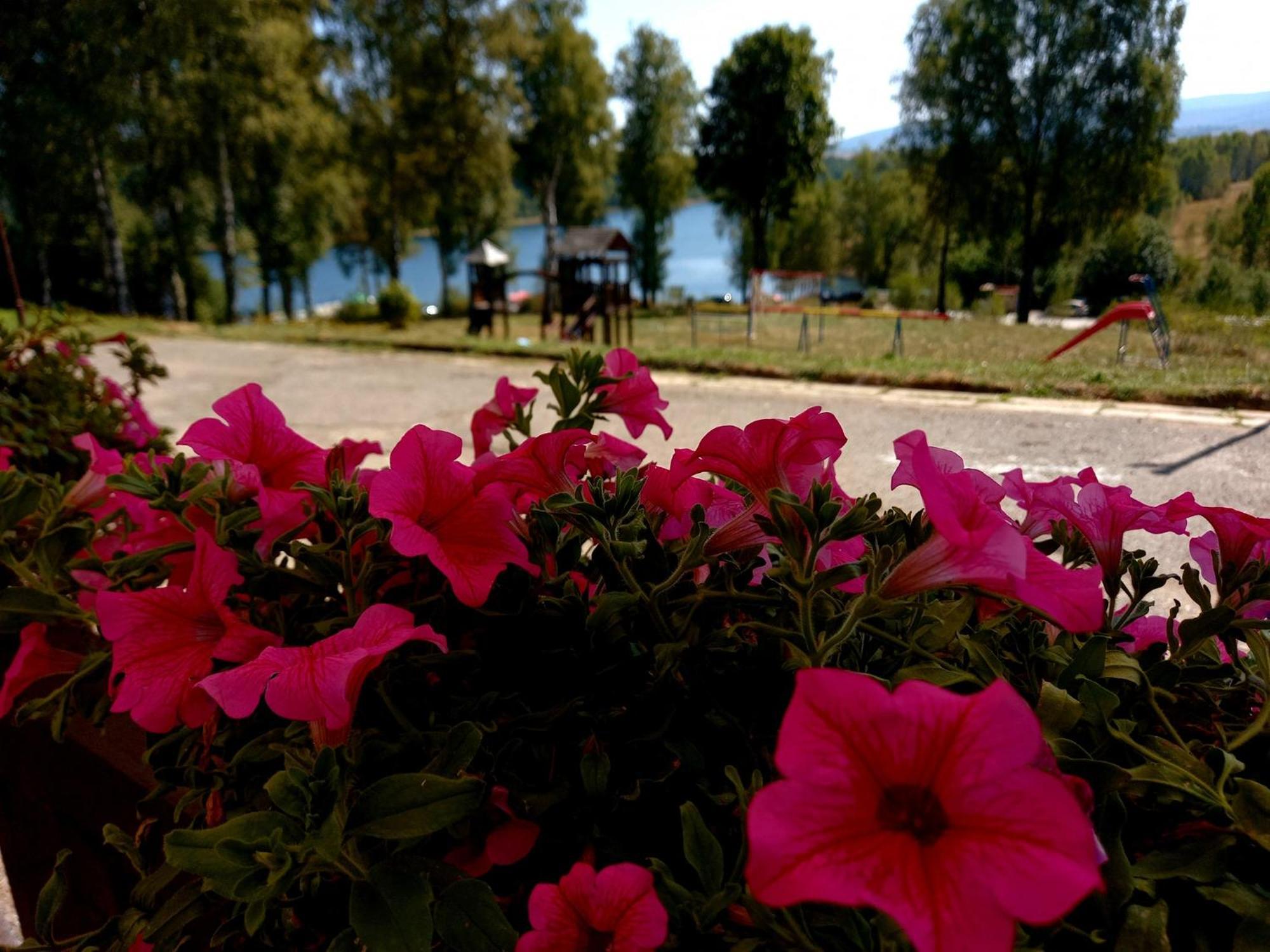 Hotel Vlasina - Vlasinsko Jezero Власіна-Рід Екстер'єр фото