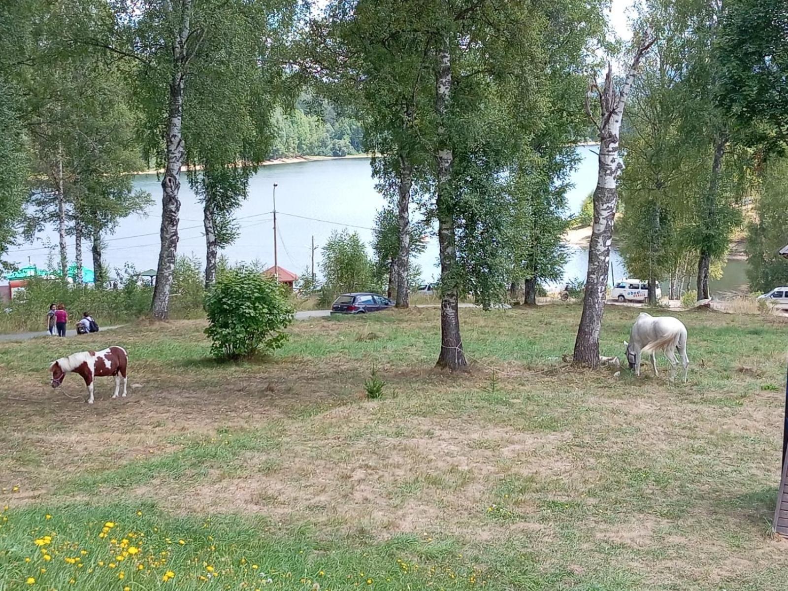 Hotel Vlasina - Vlasinsko Jezero Власіна-Рід Екстер'єр фото